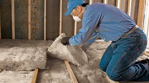 Best Basement Insulation  in USA